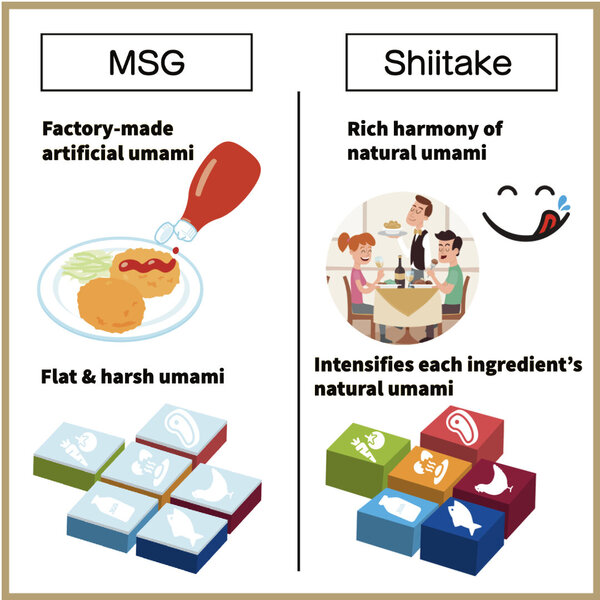 Shiitake Powder's Natural UMAMI  vs.  MSG's Artificial UMAMI