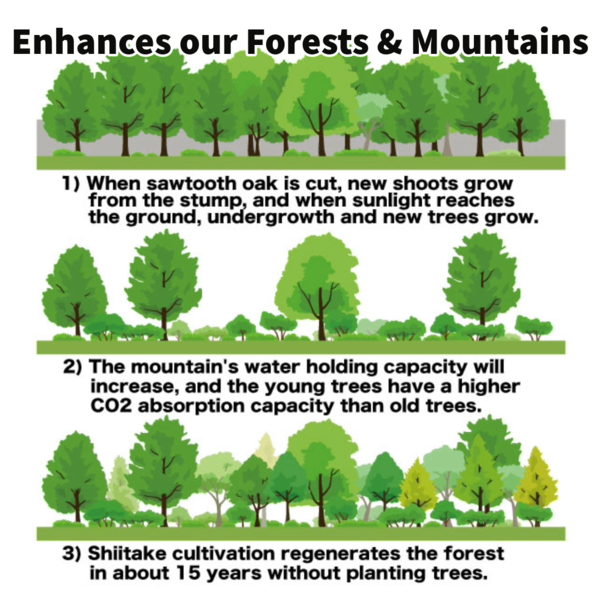 Enhances our Forests & Mountains