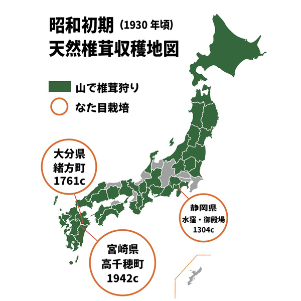 鉈目(なため)栽培の中心地