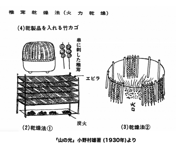 山の光.jpg