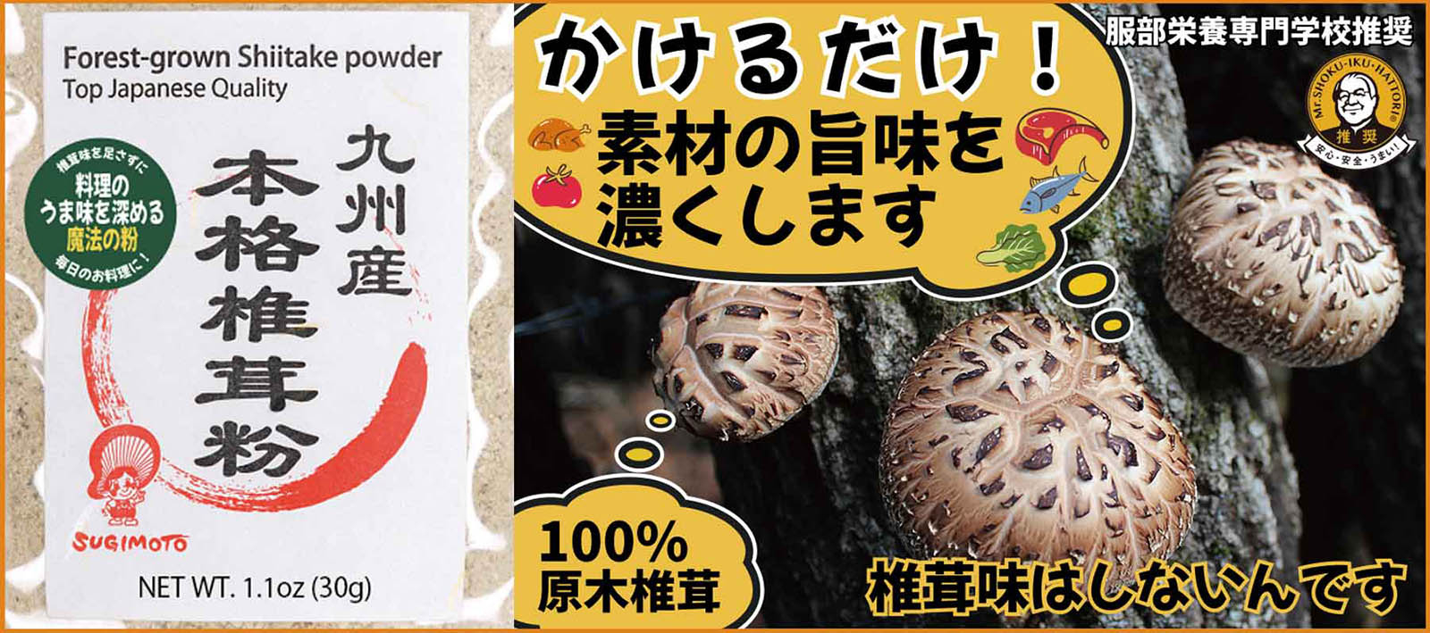 九州産本格椎茸粉