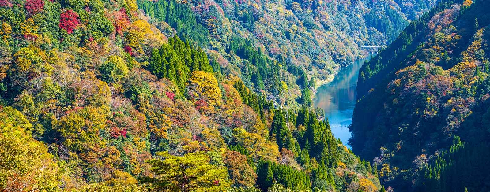 蘇陽峡の紅葉