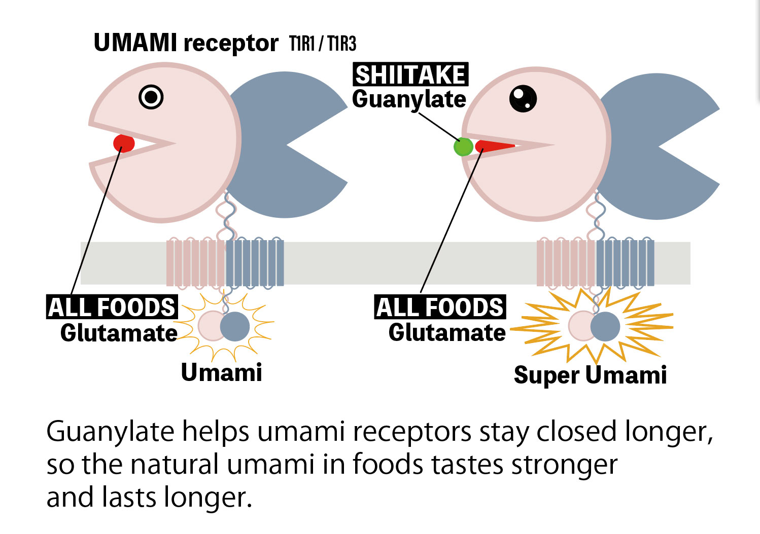 super-umami.jpg