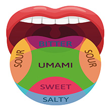 We feel Umami on the broadest area of our tongue
