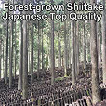Forest-grown Shiitake
